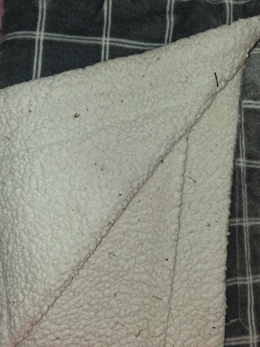 Blanket - Picture 4 of 4